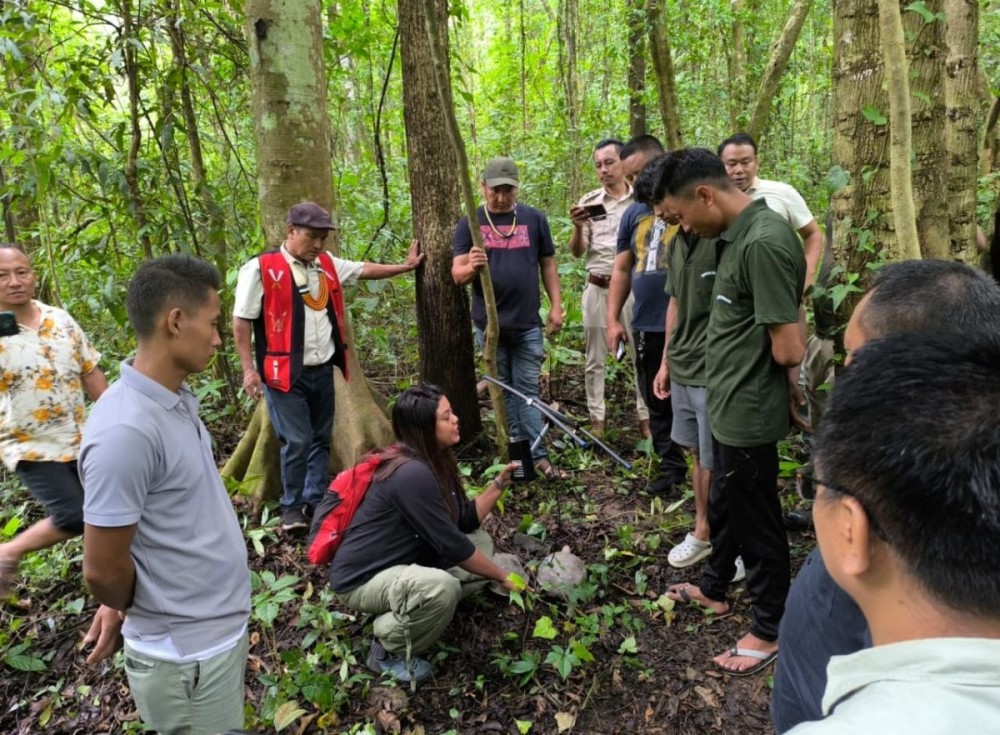 10 critically endangered Asian Giant Tortoises were reintroduced into a community reserve in Peren district on August 2, marking a significant step in conservation efforts in the region.